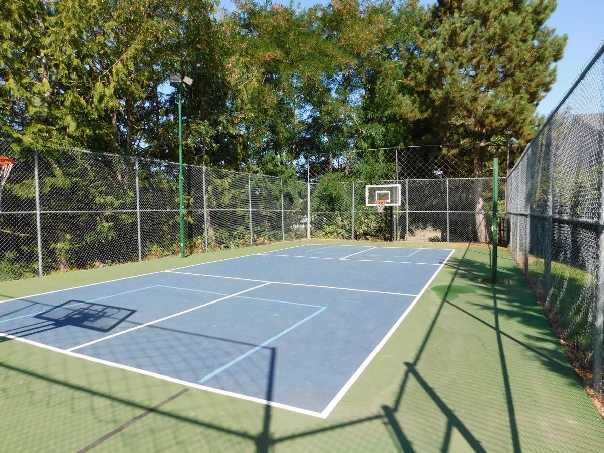 Basketball court, blue surface with white lines, surrounded by a chain-link fence, trees in background.