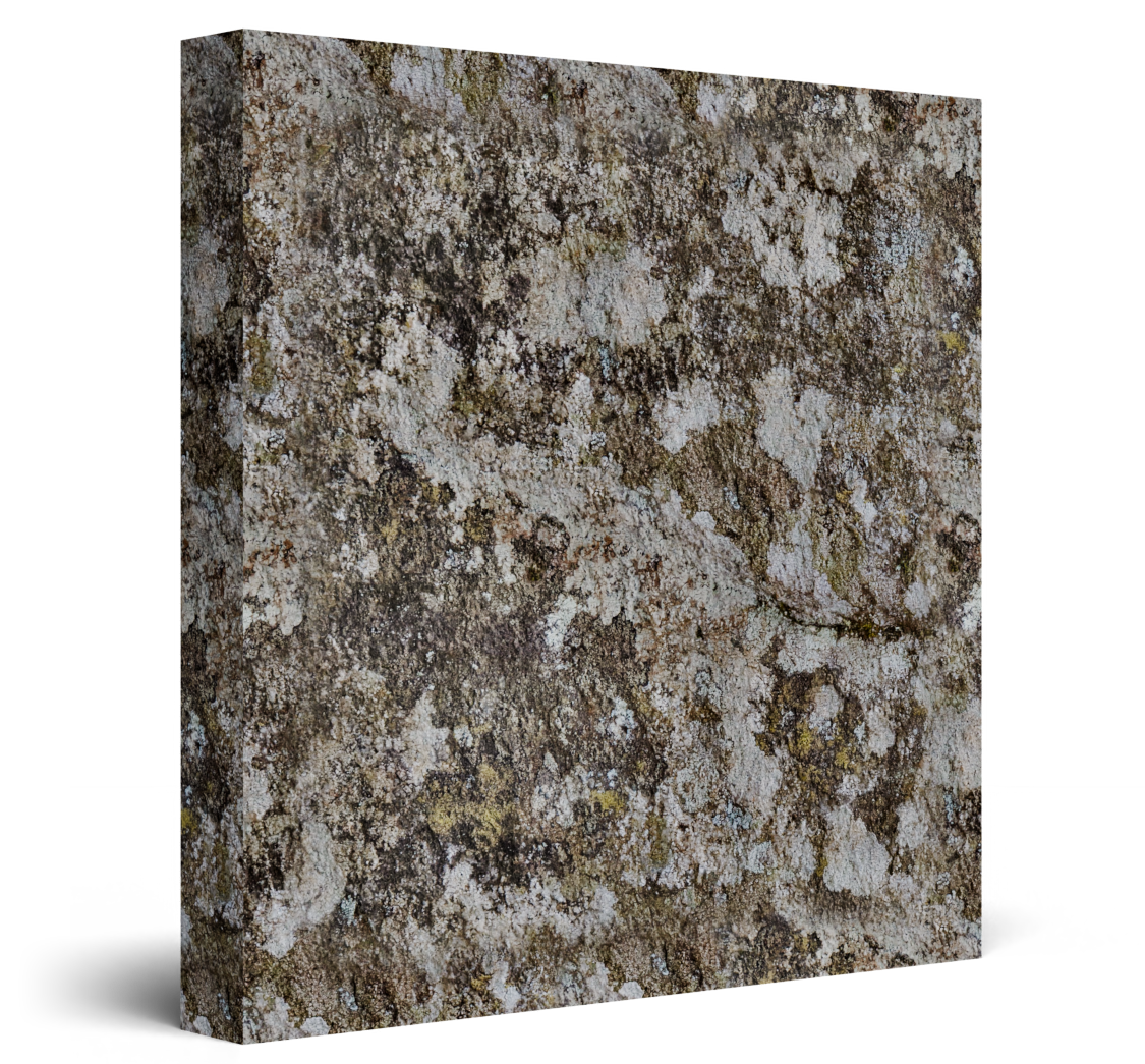 Square granite tile with speckled gray, white, and brown texture on a white background