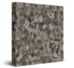 Speckled gray, white, and brown granite slab on a white background
