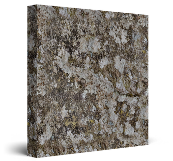 Square granite tile with speckled gray, white, and brown texture on a white background