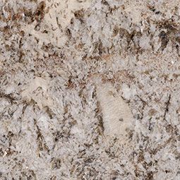 Sample stone material from Ambiance Stone