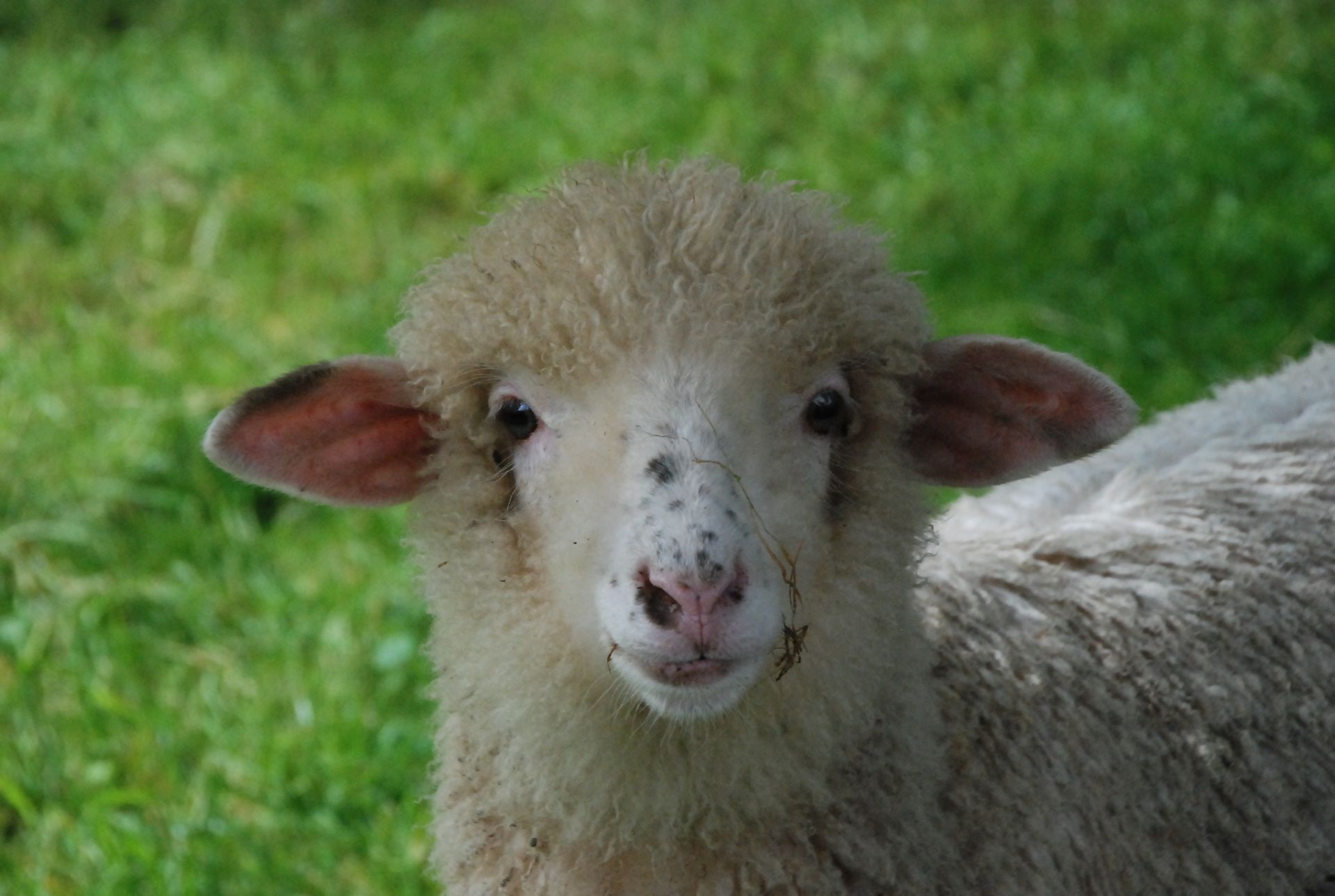 Schau mir in die Augen.