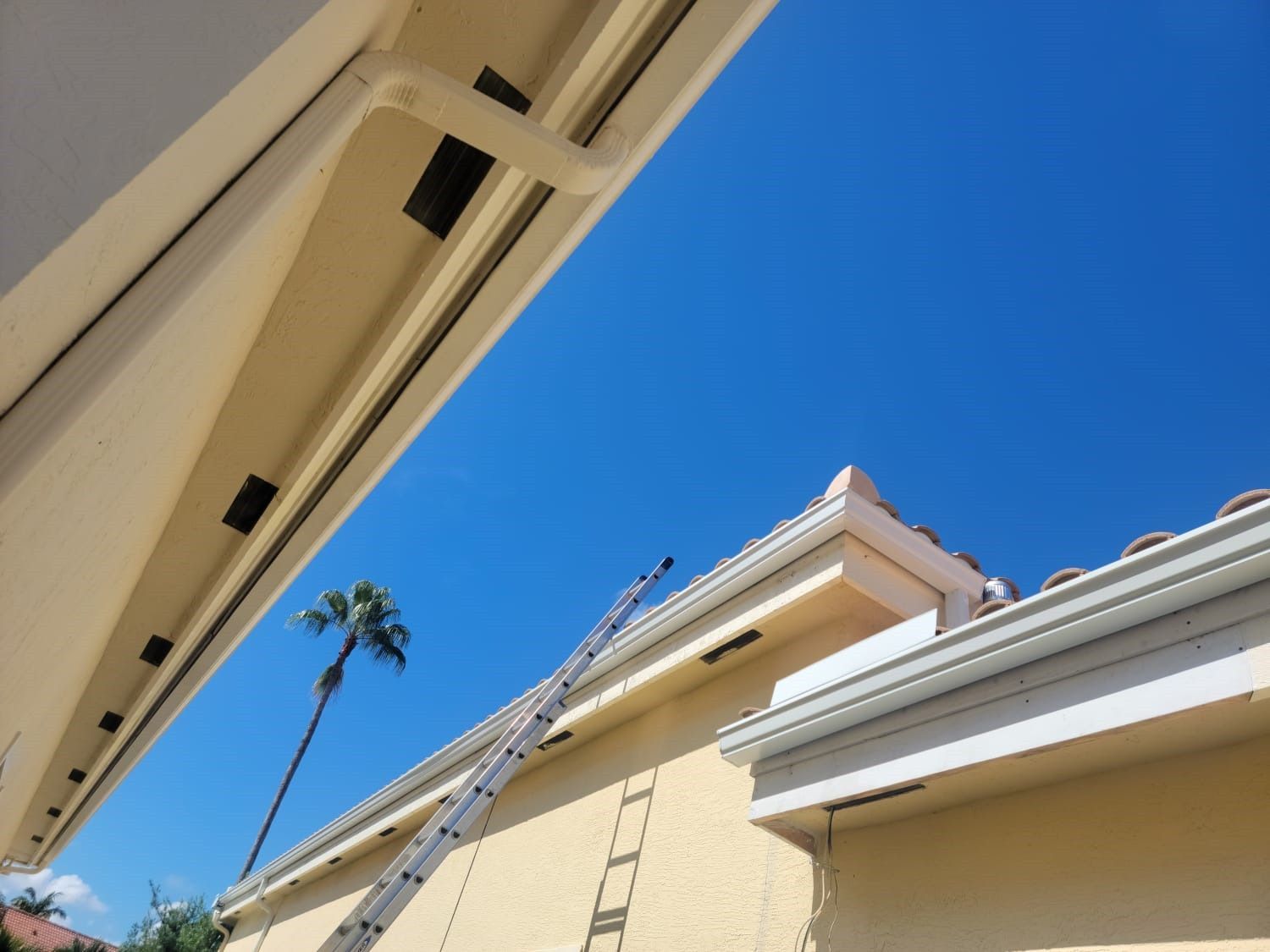 A ladder is attached to the side of a house