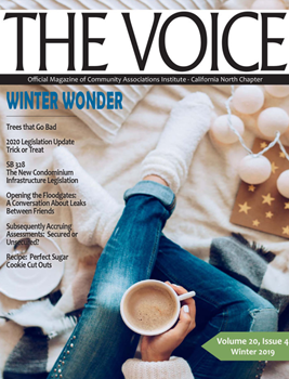 The Voice Magazine