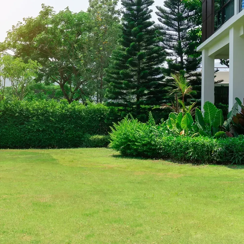 landscaper missouri