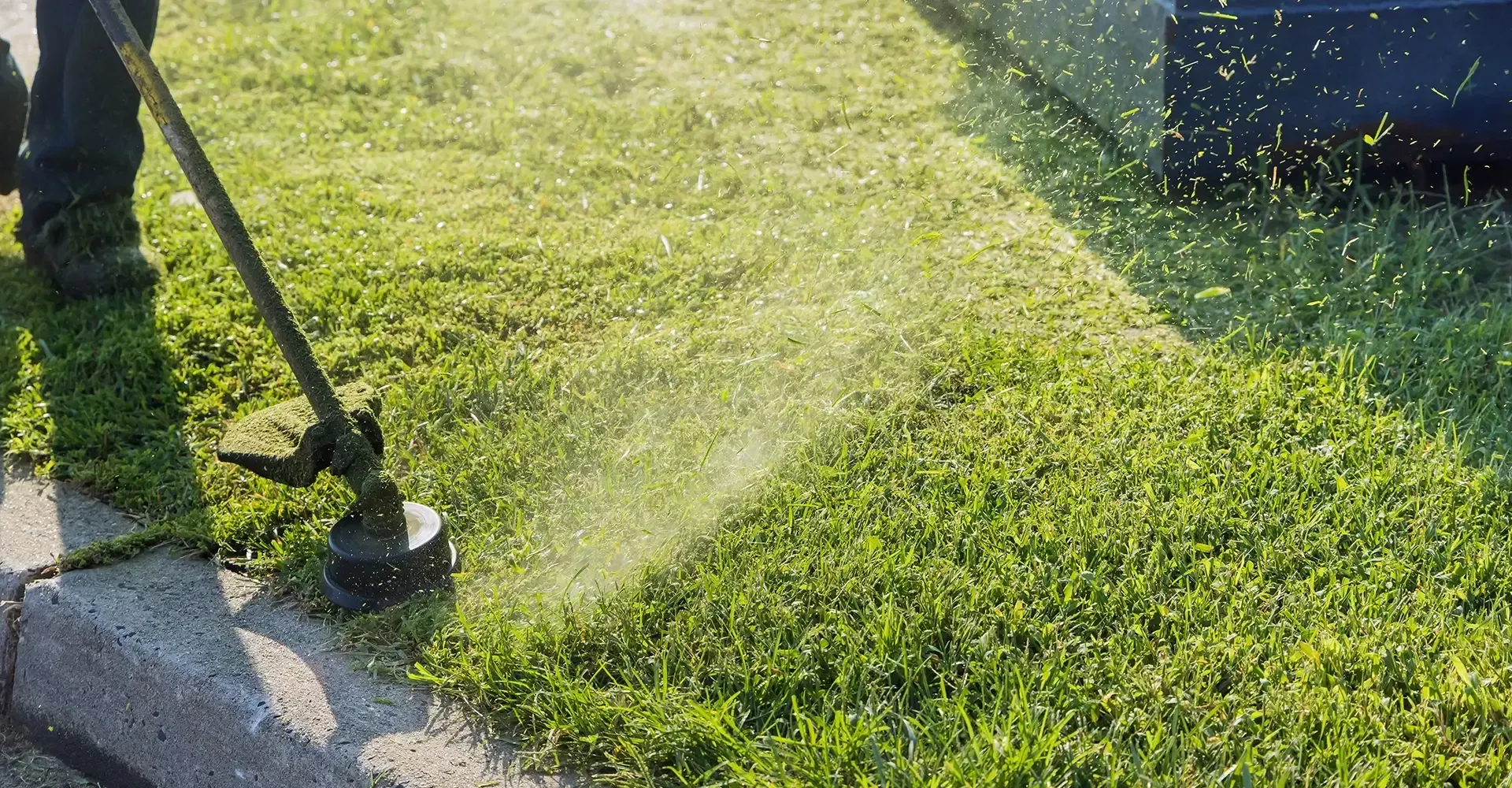 trimming weed
