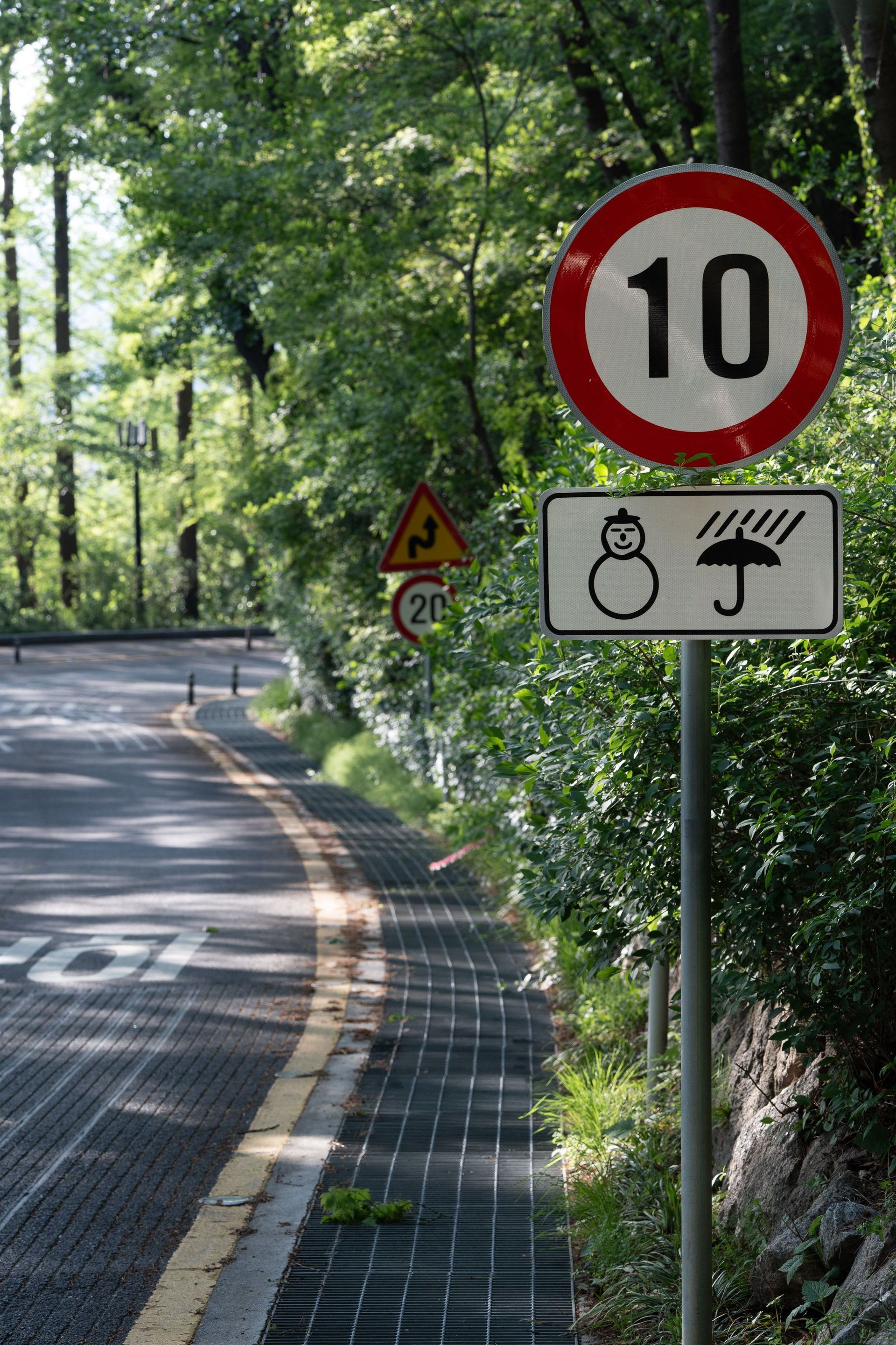 Roadside traffic signs on a curving forest road, including a red-bordered 10 speed limit sign.