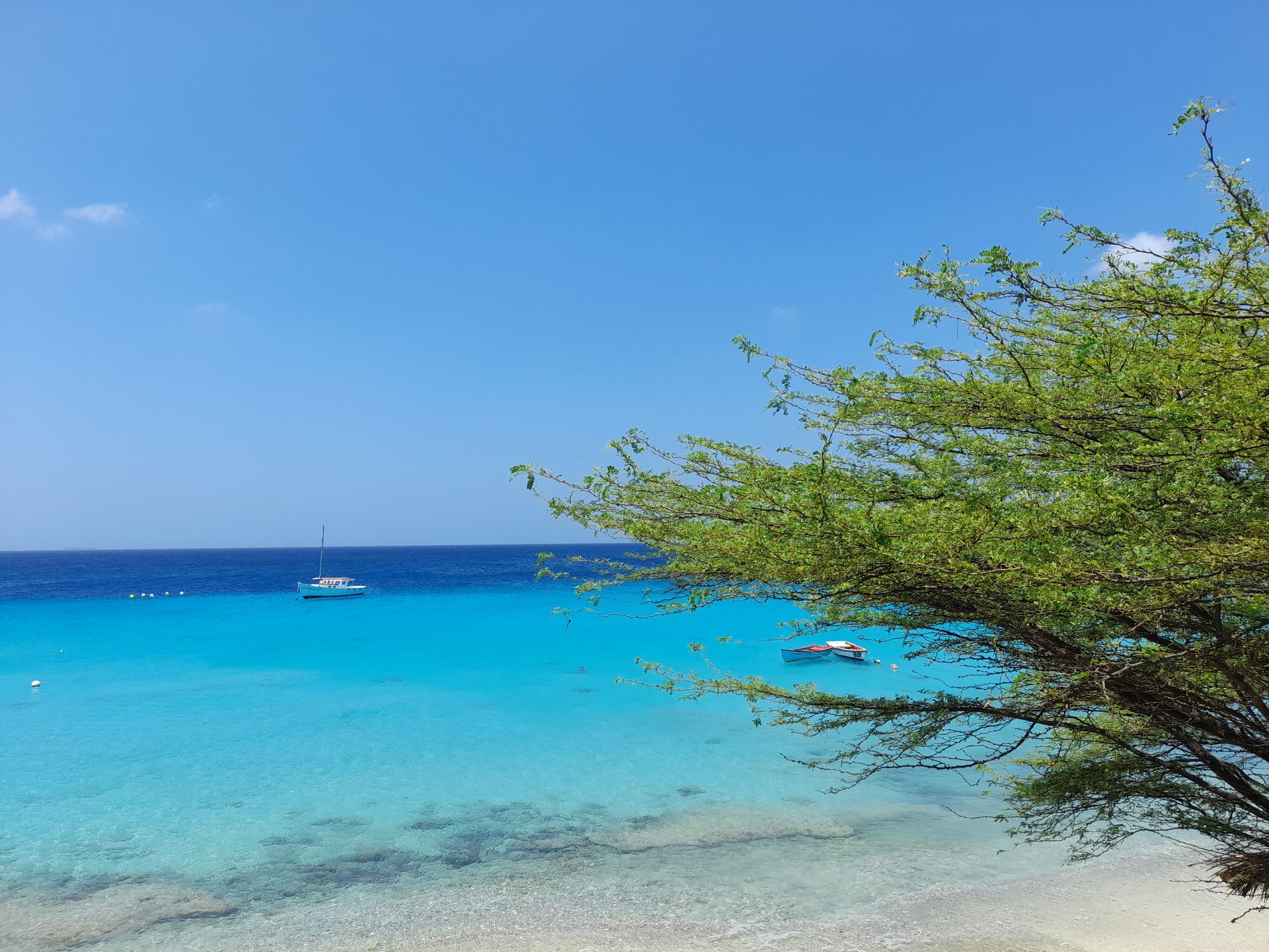 Boottocht Curacao Bandabou (west side)