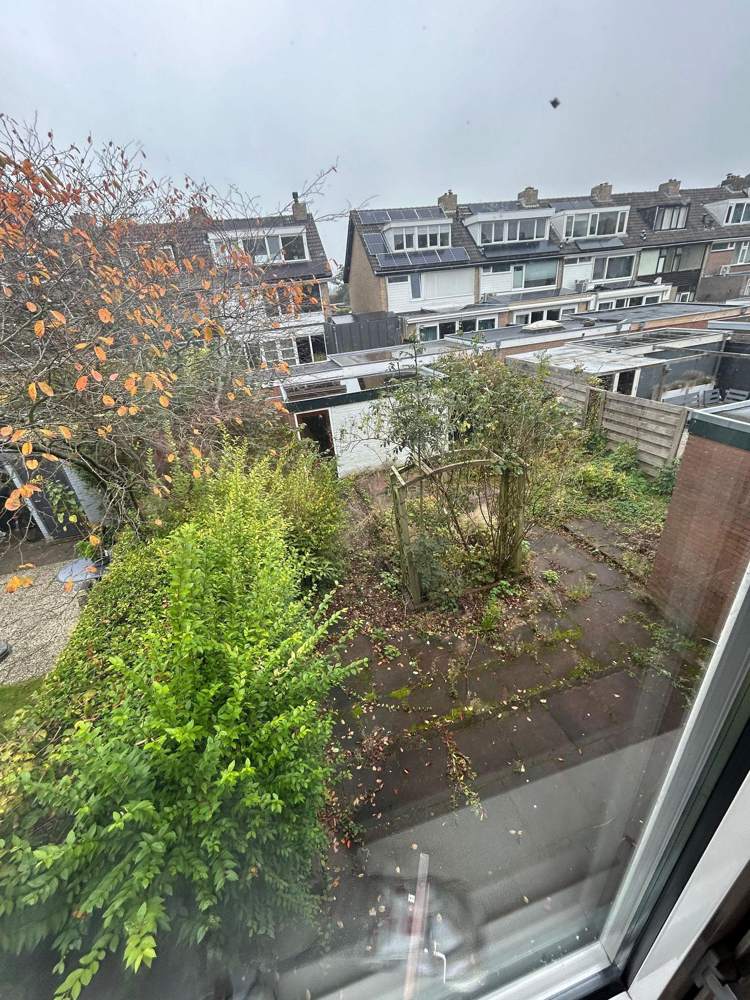 Van Amersfoort Tuin en Terras