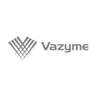Gray logo of Vazyme: abstract design of lines and the brand's name.