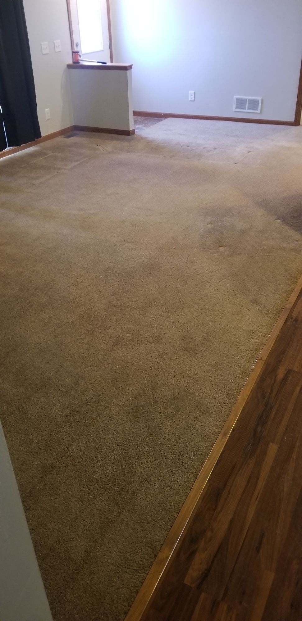 A living room with a large carpet and hardwood floors.