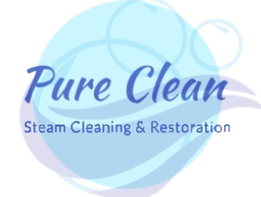 Pure Clean Company Logo