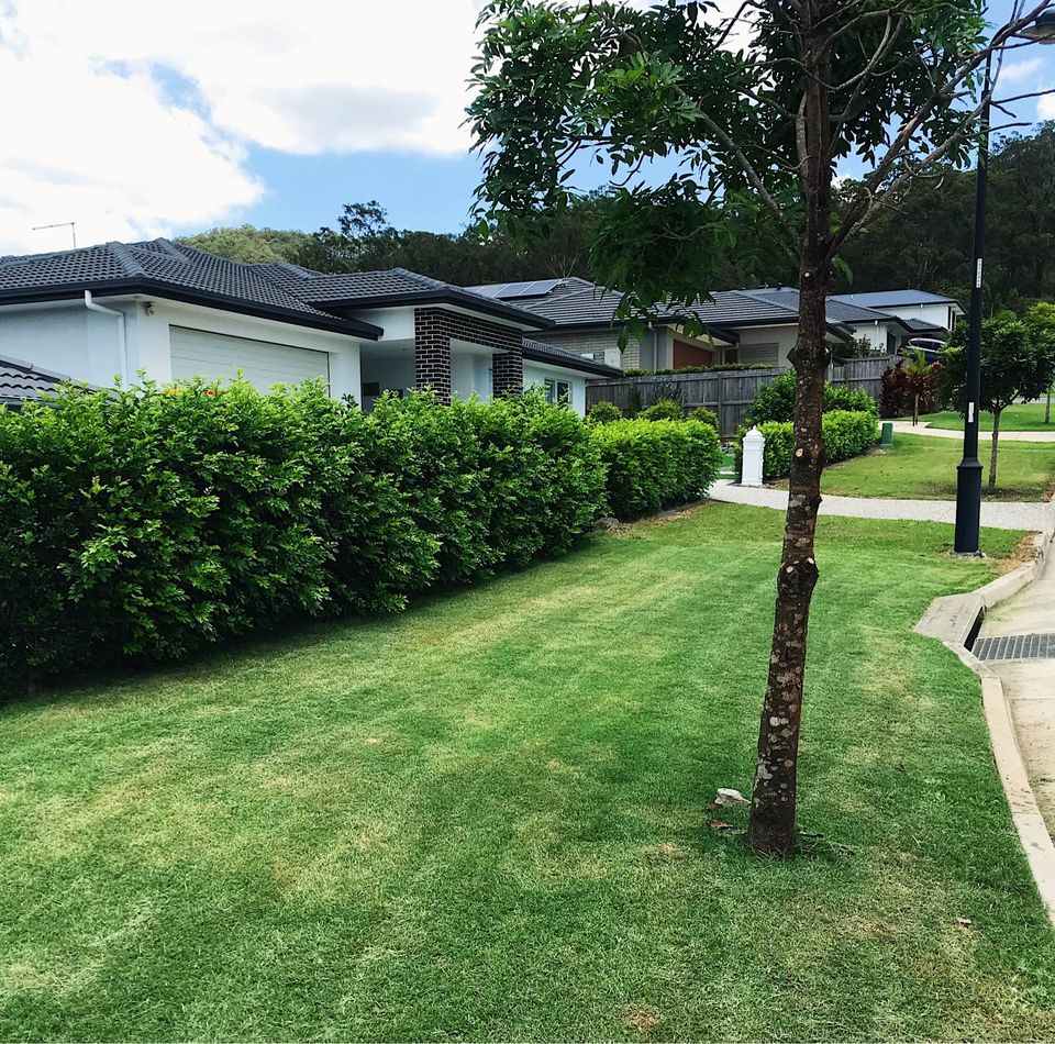 Pimpama Lawn Mowing Lawn Care Services Free Quotes