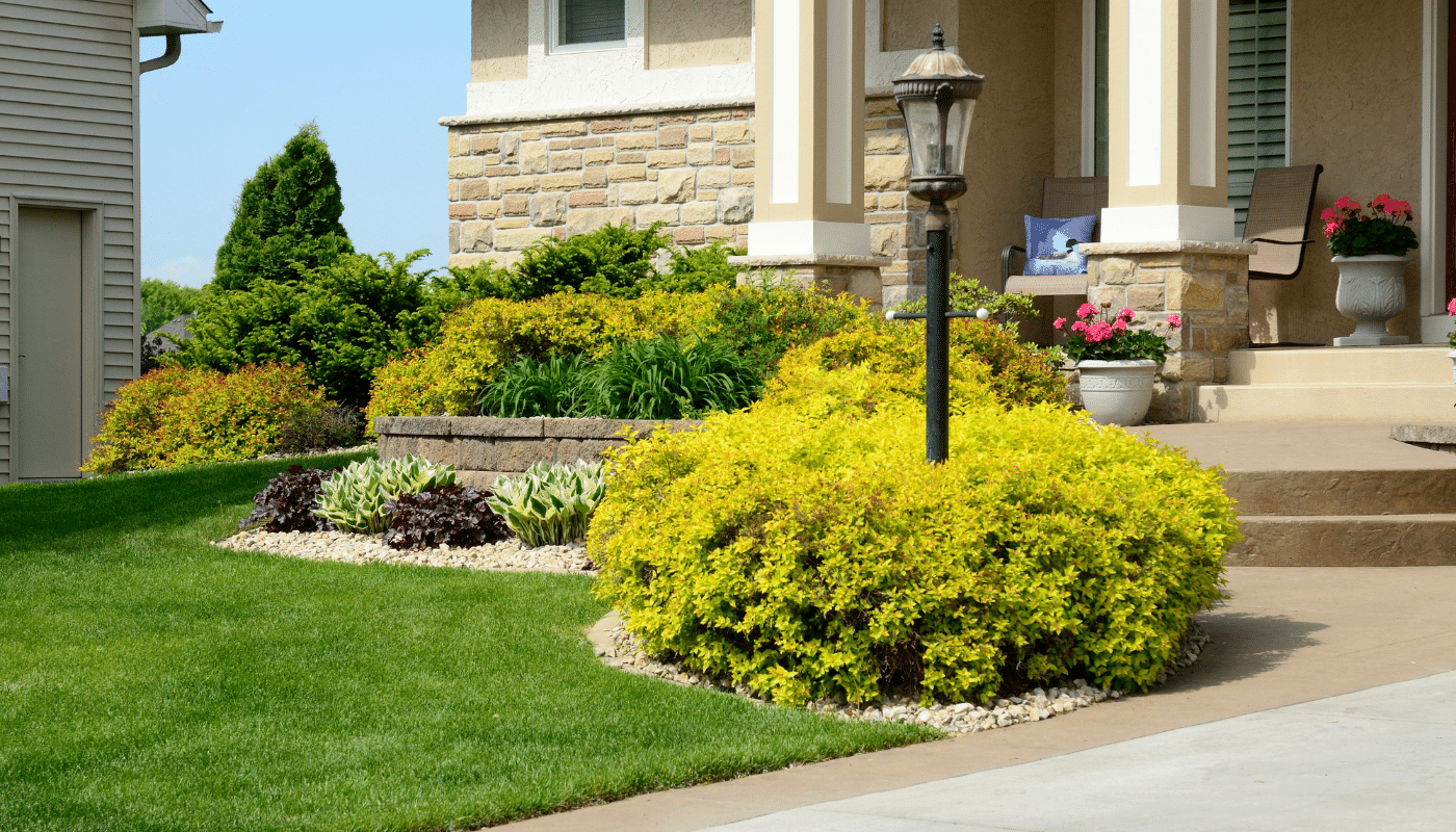 a raised garden bed landscaping with horticulturists choice of plants