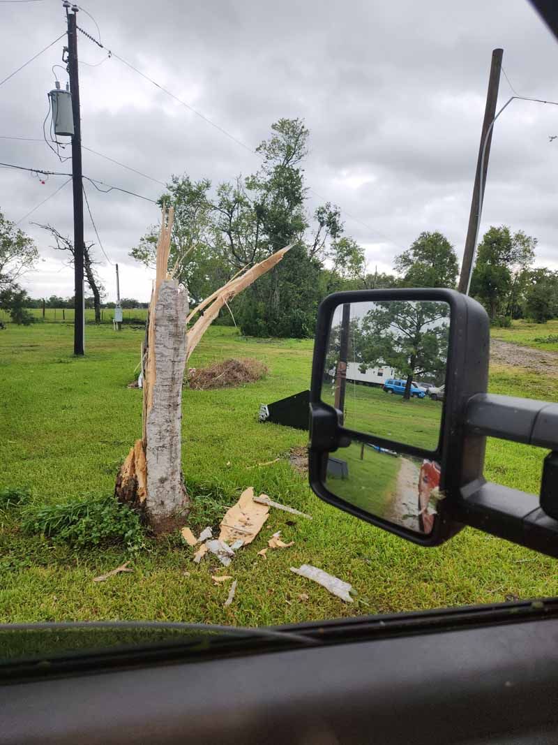 A tree trunk split in half, a power pole, and a vehicle's side mirror reflect a cloudy day in a grassy field.