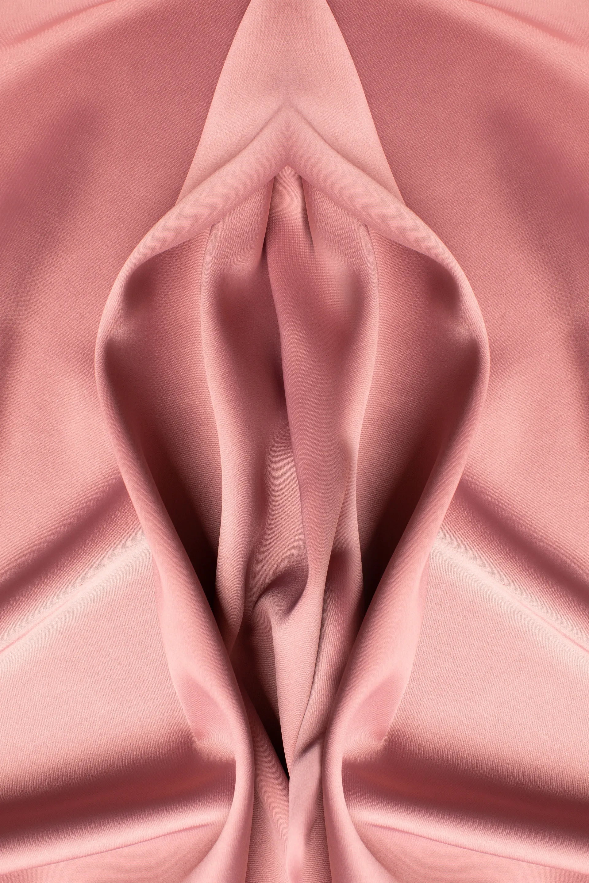 Ninfoplastia