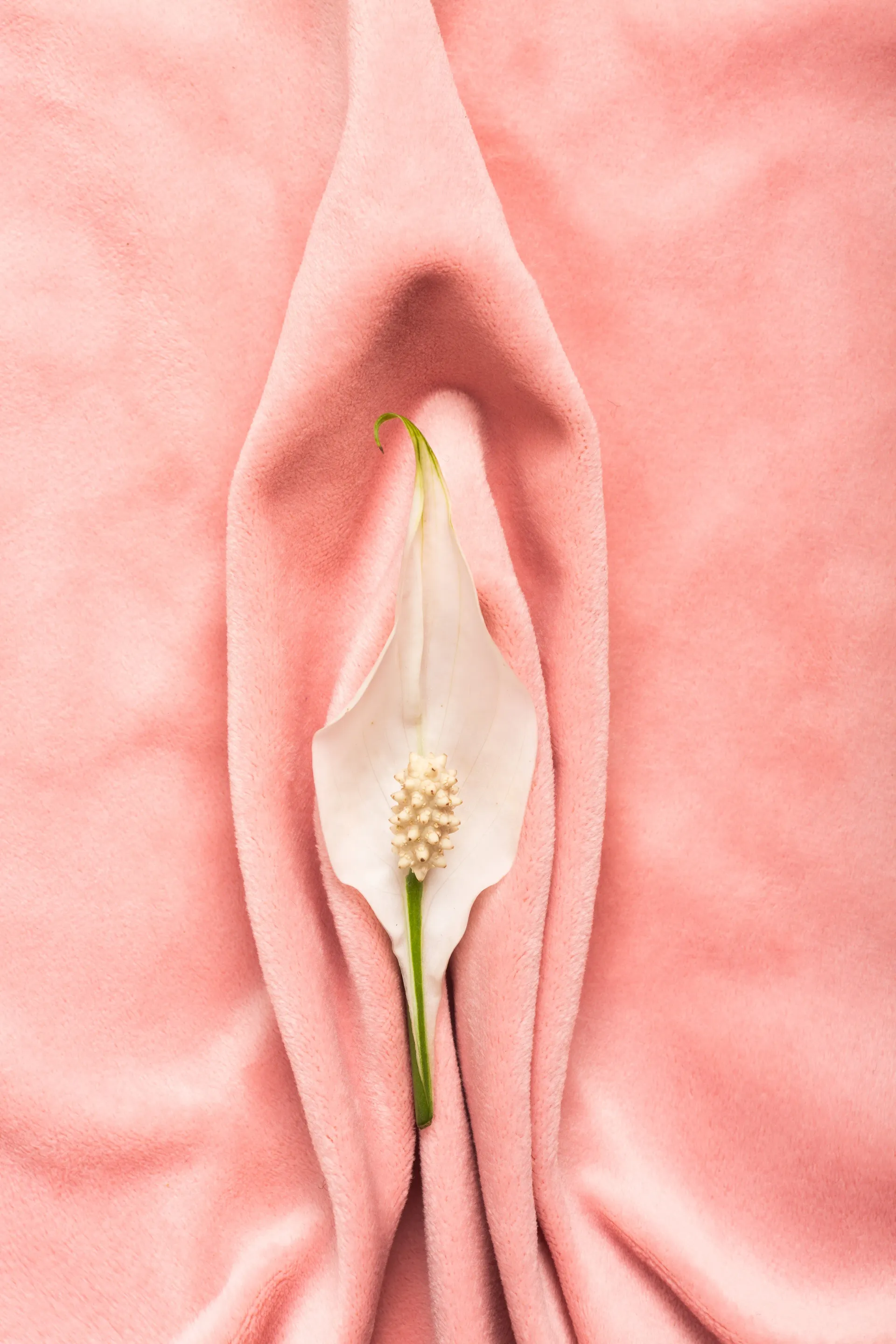 Ninfoplastia