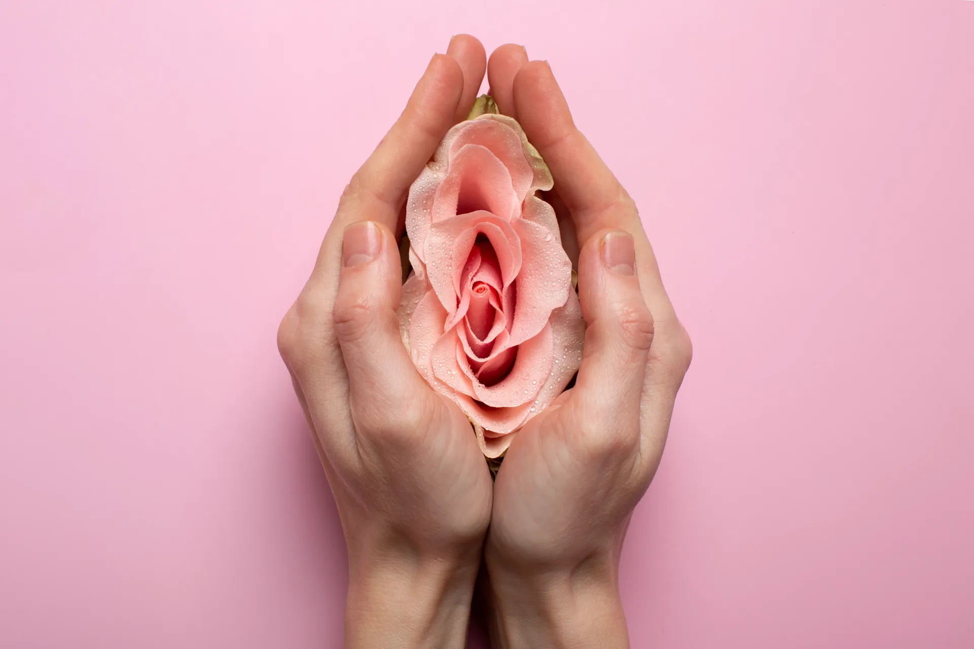 Ninfoplastia