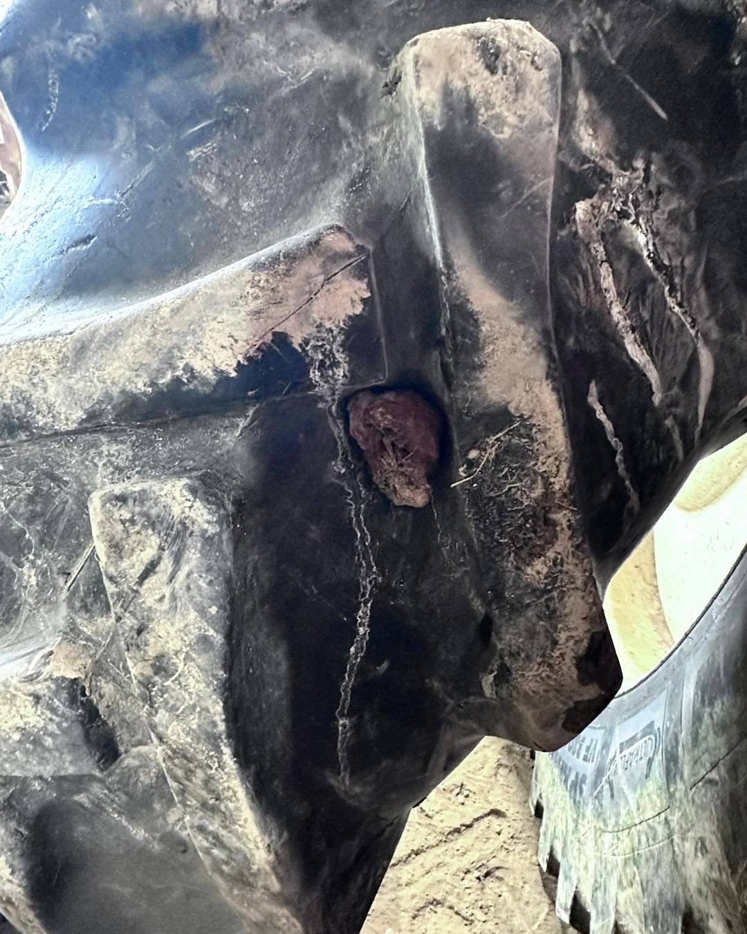 Close-up of a Tractor Tire with a Patch, Showing Damage to the Rubber and a Repair | Midwest Tire & Service LLC
