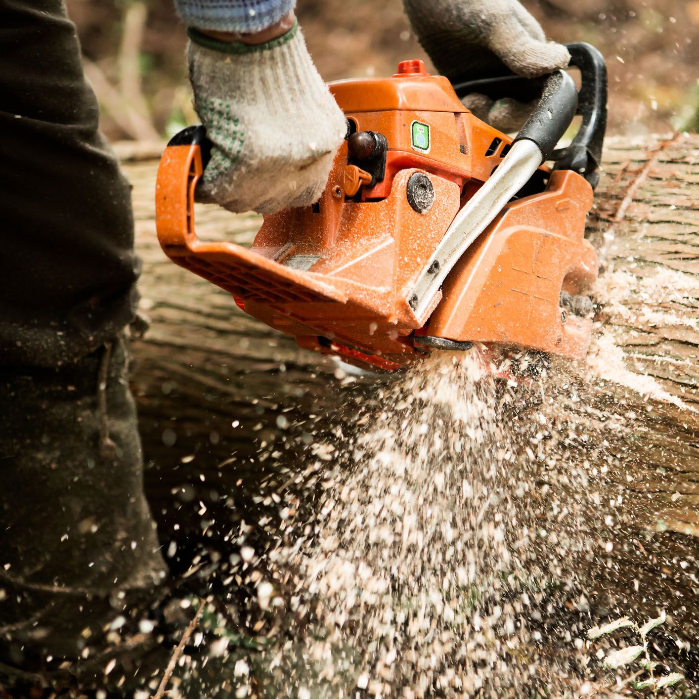 Expert Tree Clearing – Flint, MI – J&M Tree Service