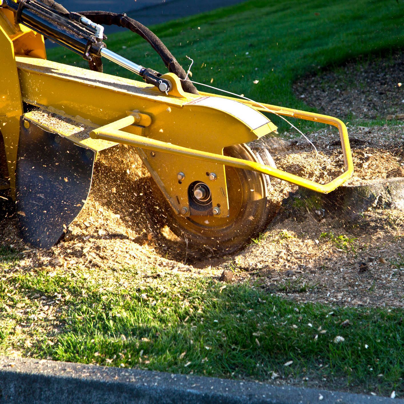 A yellow machine is stump grinding a tree in a yard. A yellow machine is stump grinding a tree in a yard.