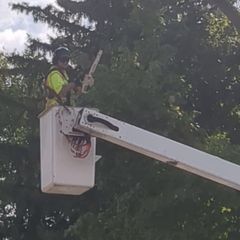 A man is sitting in a bucket holding a chainsaw. A man is sitting in a bucket holding a chainsaw.