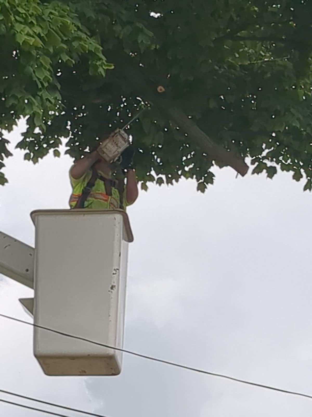 A man is sitting in a bucket under a tree holding a bucket.