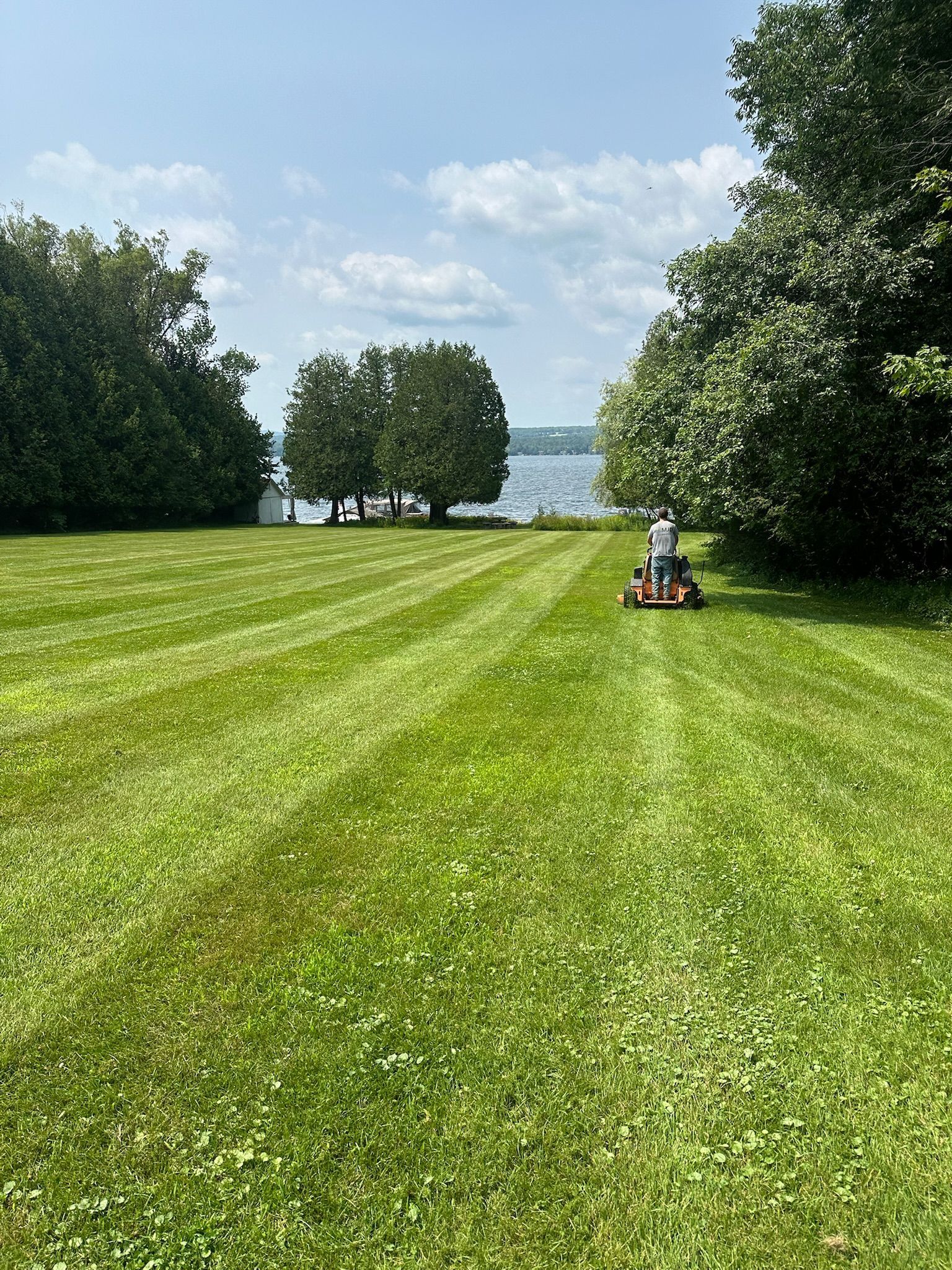 Une vaste pelouse verte bordant un lac, avec des arbres de chaque côté et une personne tondant la pelouse près du centre.