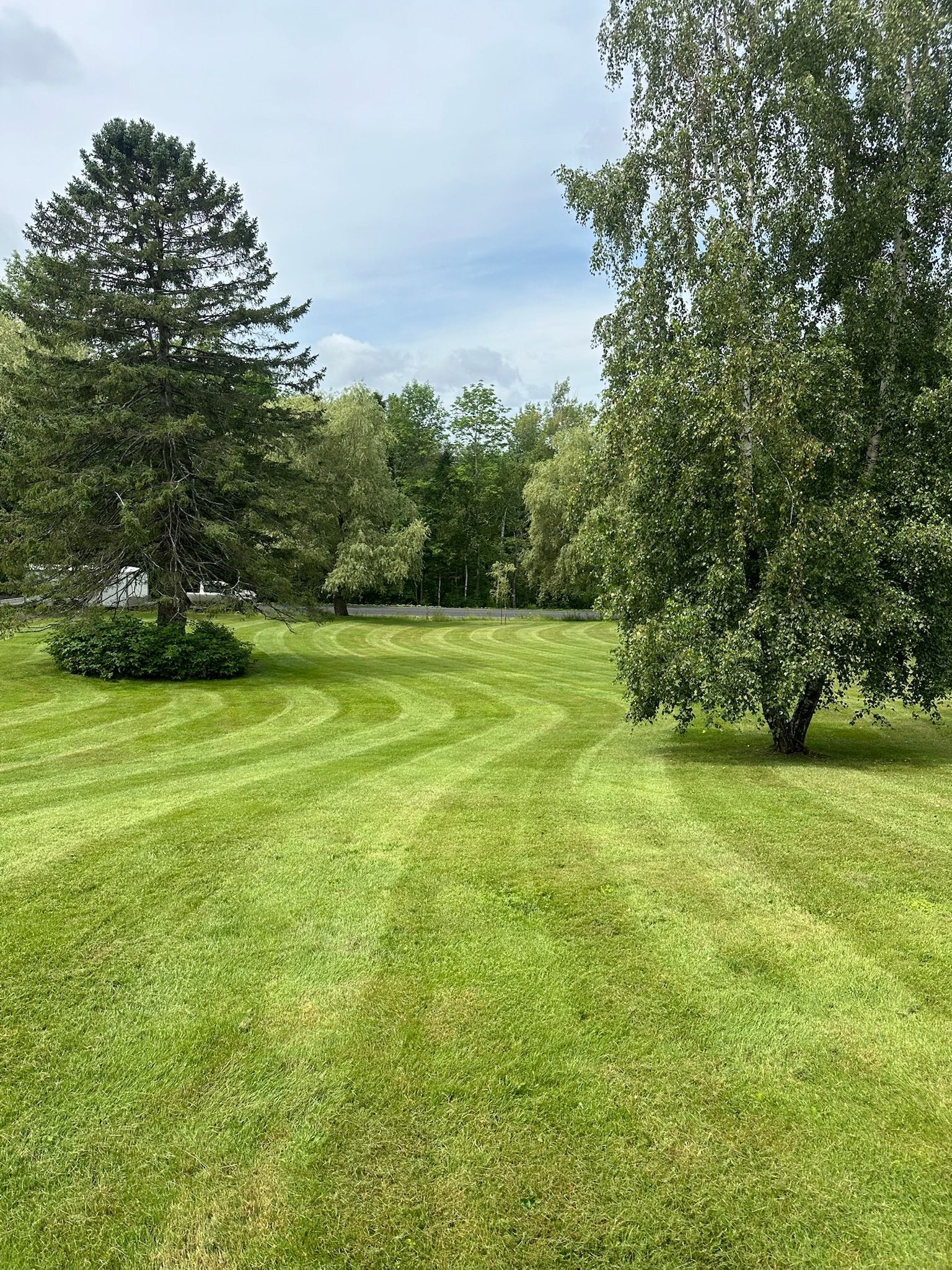 Parc herbeux avec allée tondue, arbres de part et d'autre et ciel bleu nuageux