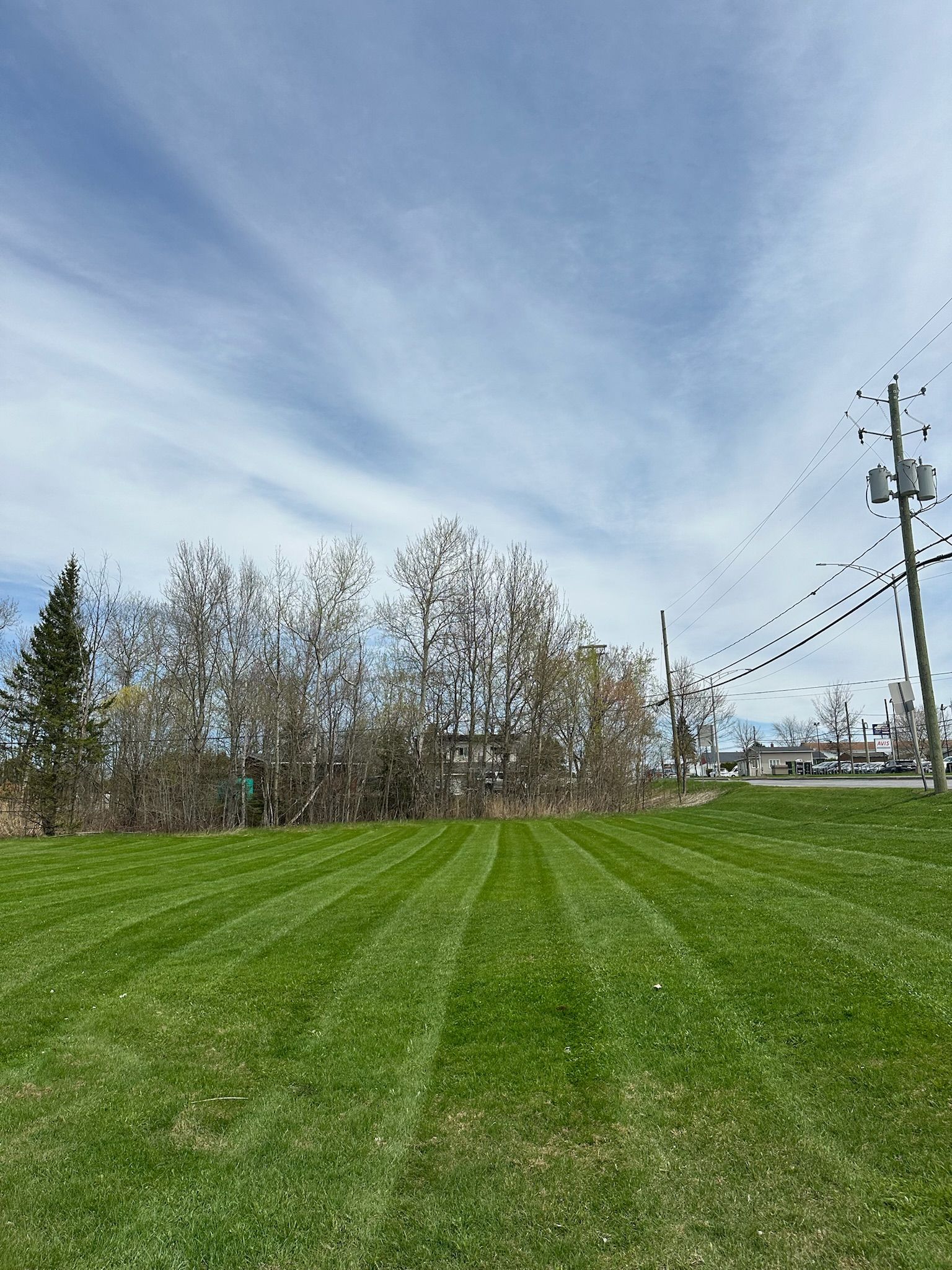 Champ herbeux bordé d'arbres sous un ciel bleu nuageux, poteau électrique et lignes à haute tension à droite