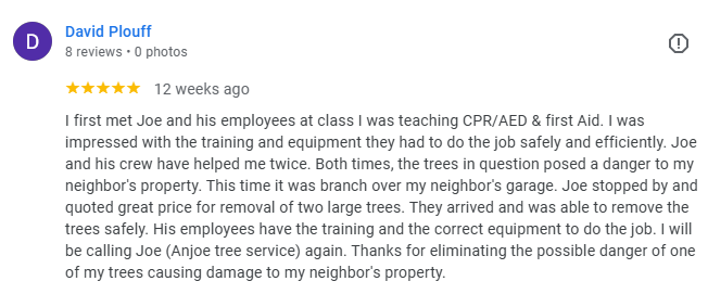 A five-star Google review by David Plouff for Anjoe Tree Service, praising the team's professional tree removal service.