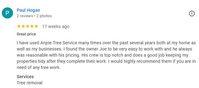 A five-star Google review by Paul Hogan for Anjoe Tree Service, praising the owner and crew for quality tree work.