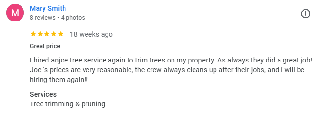 A five-star Google review by Mary Smith for Anjoe Tree Service praising their reasonable pricing and clean-up work.