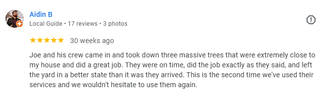 A five-star Google review from Aidin B. praising Joe and his crew for professional tree removal services.