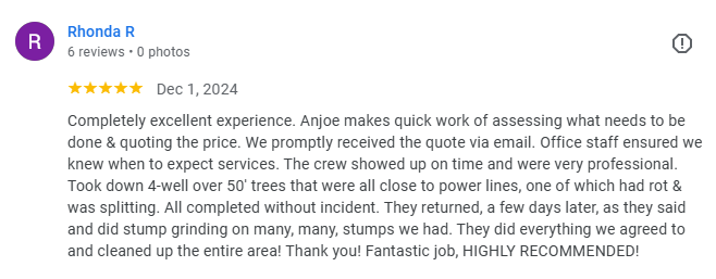 A five-star Google review by Rhonda R. dated Dec 1, 2024, praising a tree service company for professional work.
