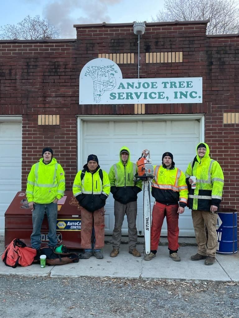 Anjoe crew standing in front of a building that says anjoe tree service inc.