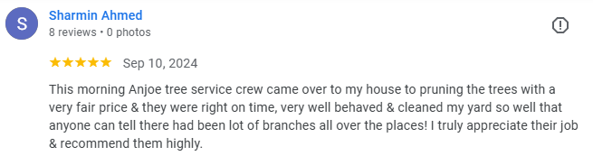 A five-star Google review by Paul Hogan for Anjoe Tree Service, praising the owner and crew for quality tree work.