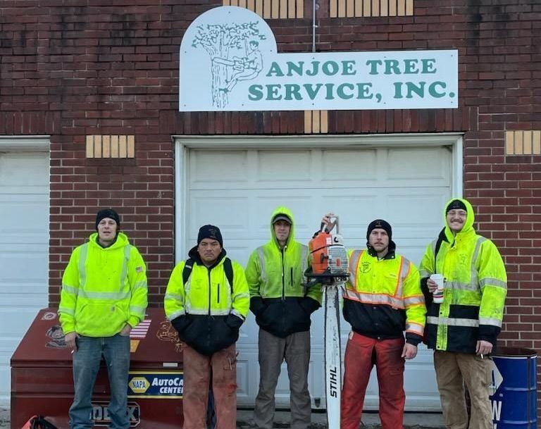 A group of men standing in front of anjoe tree service inc.