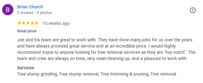 A 5-star Google review by Brian Church praising Joe's tree removal service for their great work, professionalism, and price.