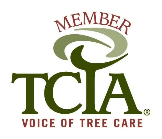 TCIA logo: Green stylized tree,