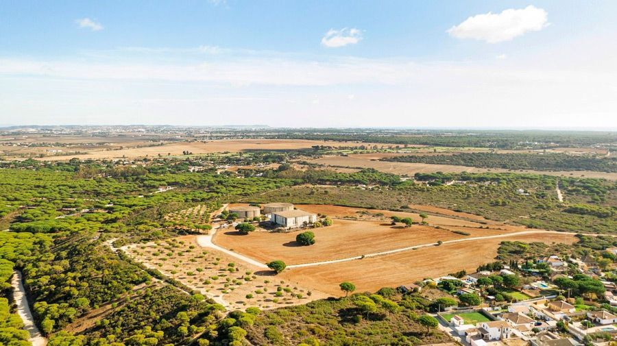An aerial view of a large field surrounded by trees and fields.