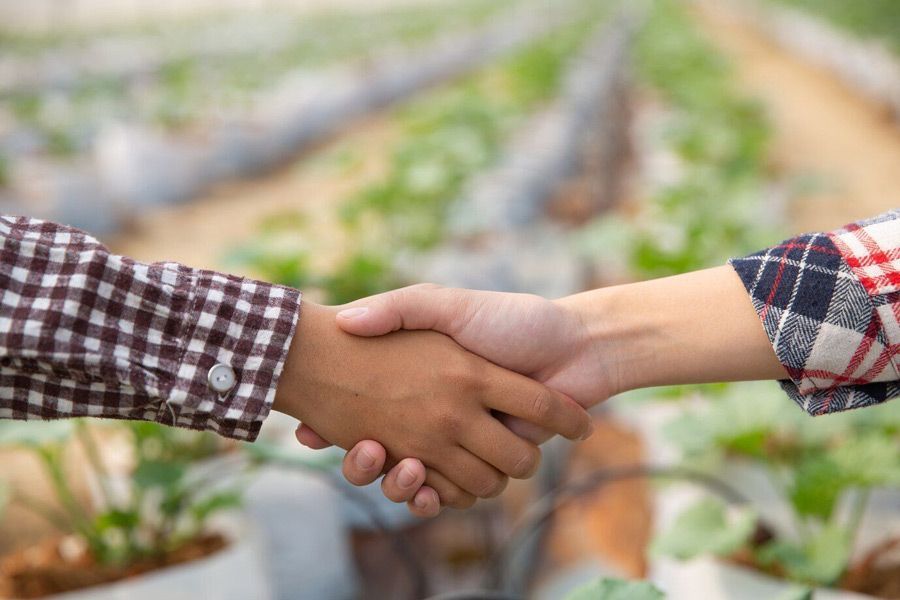 A man and a woman are shaking hands in a greenhouse.