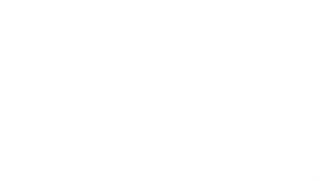 Born Inspections & Consulting