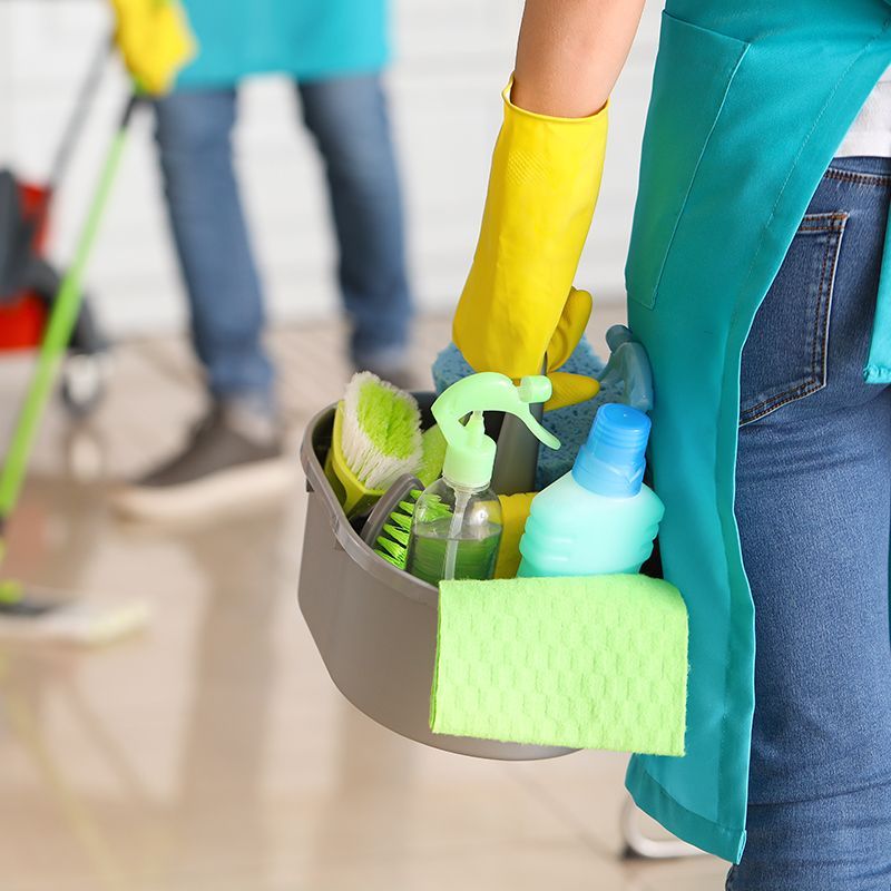 Person Holding Cleaning Equipment