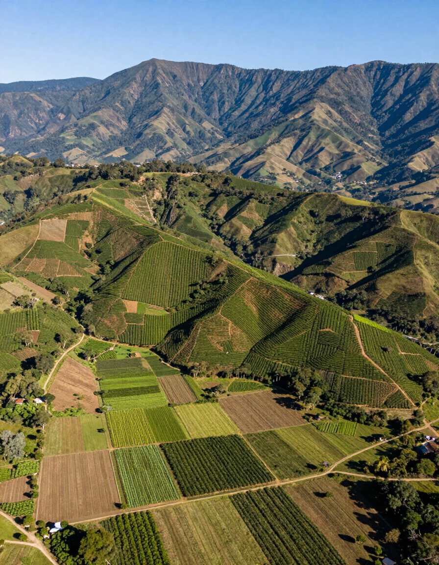 Tierras de cultivo en terrazas en un valle de montaña verde con picos escarpados bajo un cielo azul.