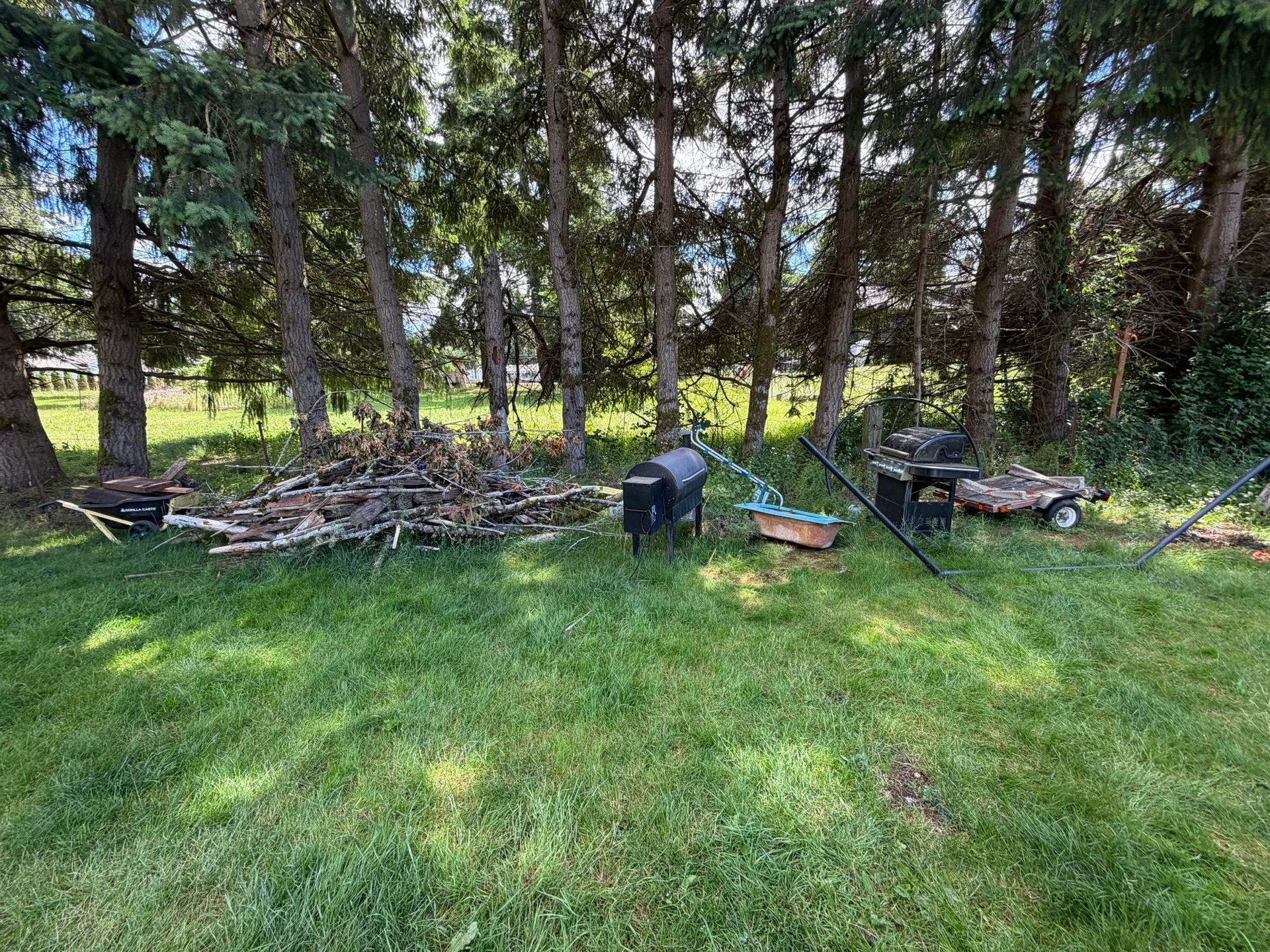 Two dogs in a grassy backyard near stacked branches under tall trees