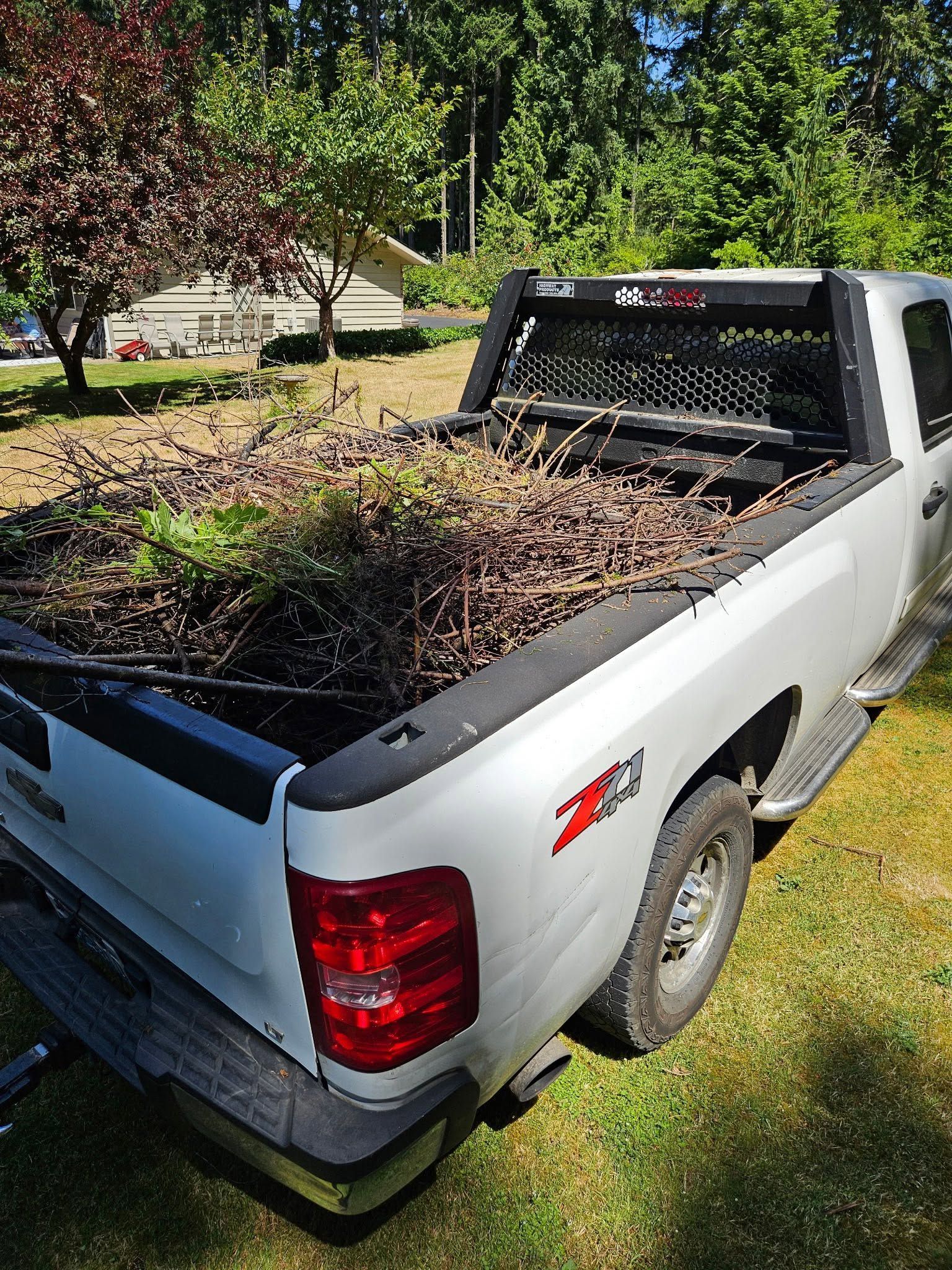 Silver pickup truck loaded with brush in the bed, parked on a grassy residential lawn.