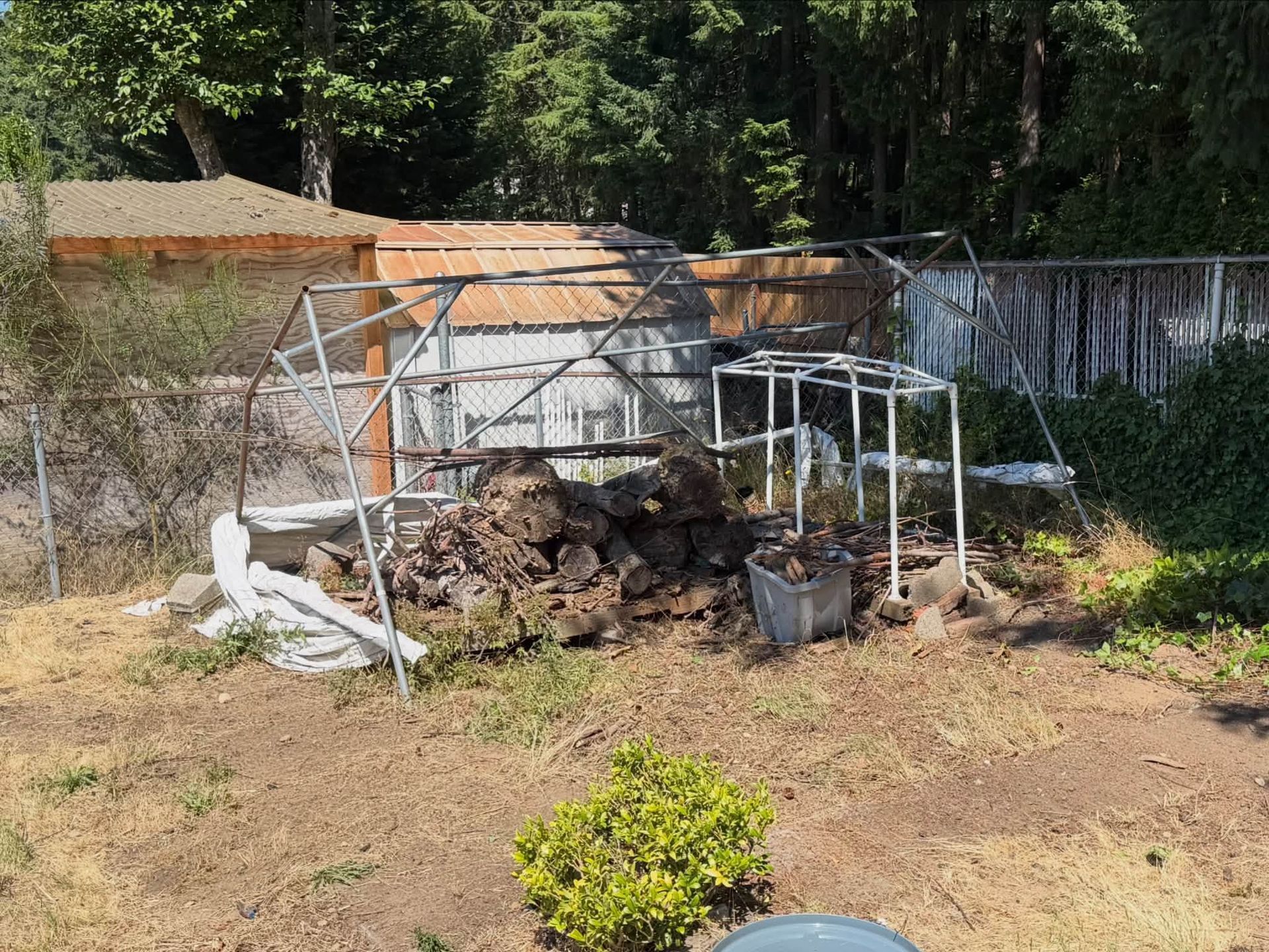 Backyard with a metal frame structure, woodpile, and white pipes on dry grass near trees and a fence
