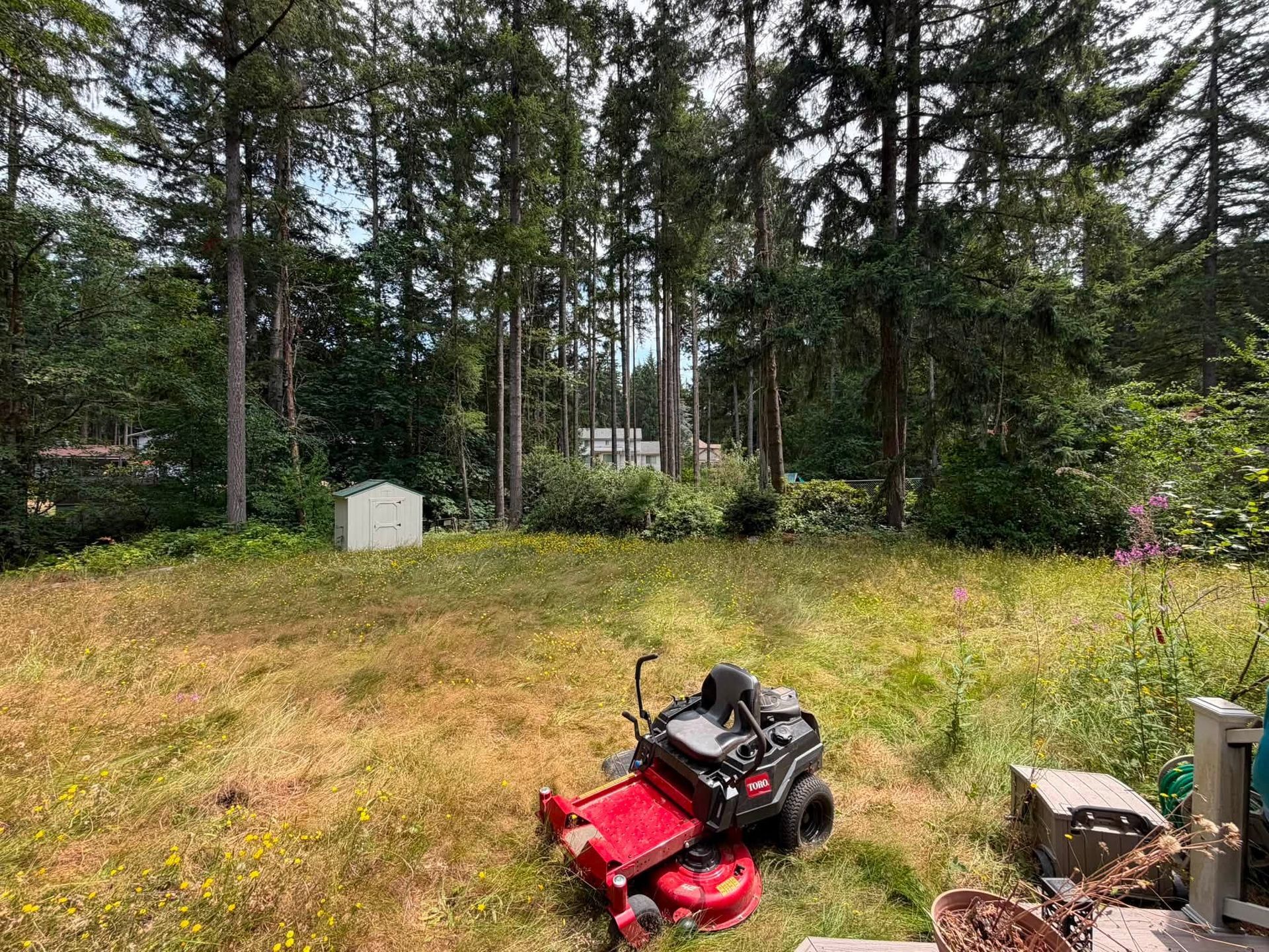 Red lawn mower on a grassy yard with trees and a small shed in the background