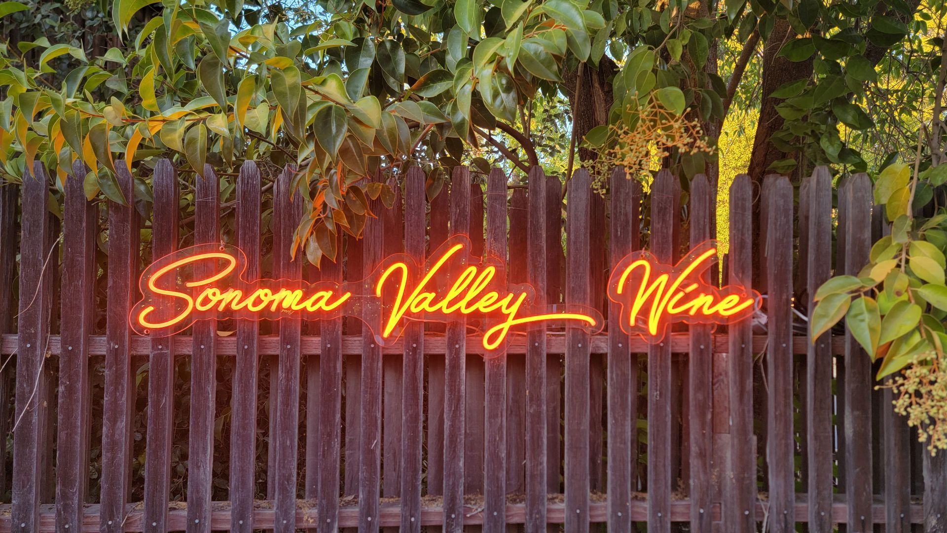Sonoma Valley Wine